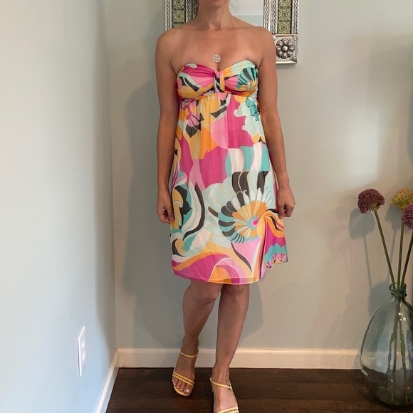 Shoshanna Anthropologie Silk Chiffon Dress - Picture 2 of 12